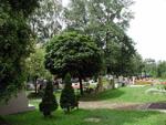 hřbitov