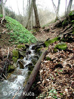 Jasenná, příroda, krajina, potok