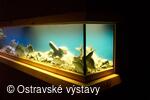 Akvária ve sklepení Slezskoostravského hradu