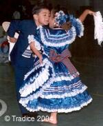 EHRENBERGEROVÁ Radka