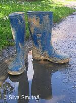 Muzejní spolek Velkobítešska