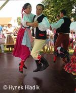 Libín - S, folklorní sdružení