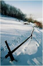 Fotoklub Příbor, Přátelé výtvarné fotografie