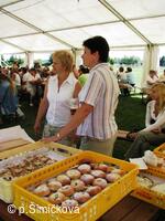 prodej hodových koláčků