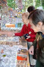 Království perníku 2009