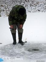 * Z DĚNÍ VE MĚSTĚ