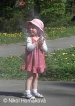 * Z DĚNÍ VE MĚSTĚ