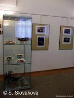 * Z DĚNÍ VE MĚSTĚ